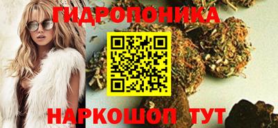 дурь Пугачёв