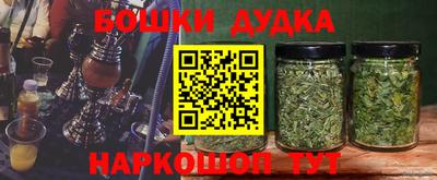 гидра Пушкино