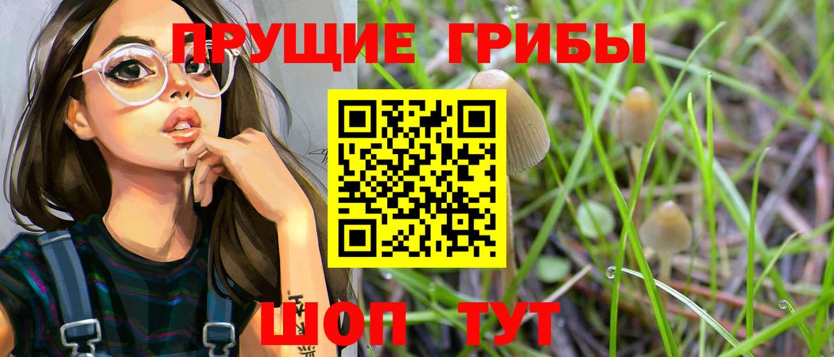 Псилоцибиновые грибы мухоморы  Вход с VPN  Нижнеудинск 